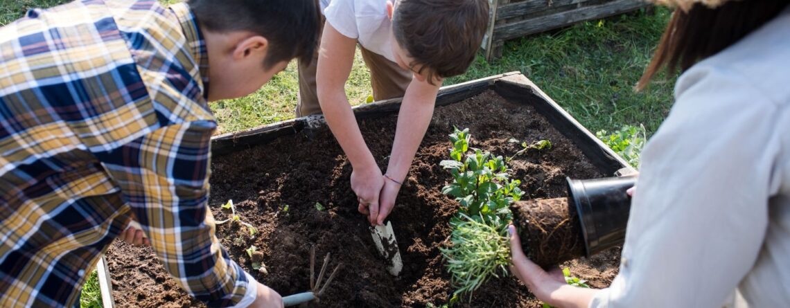 Innovative Sustainable Living Practices