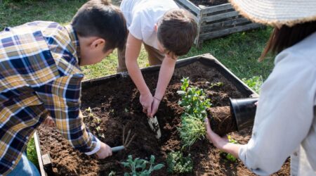 Innovative Sustainable Living Practices