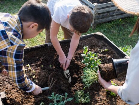 Innovative Sustainable Living Practices