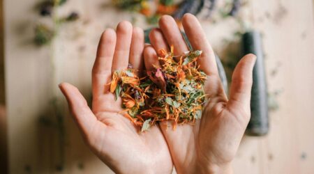 Trending Adaptogenic Herbs for Wellness Boost